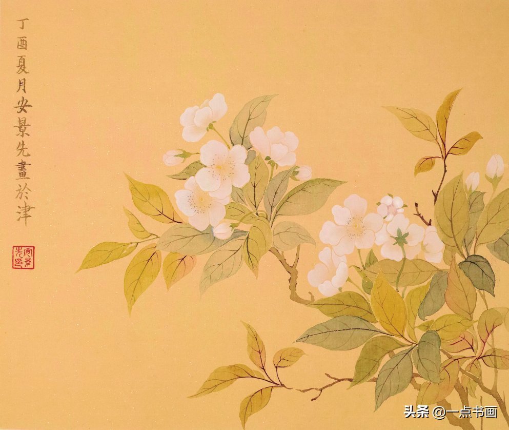 示范&用没骨技法画胡萝卜和鸢尾花,这样的示范案例领你入门