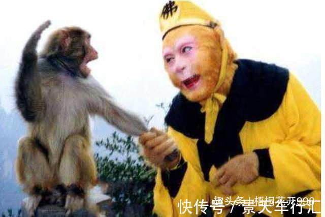 西游记&西游记10道题你能答对几道?答对6道是西游迷,答对8道是西游通