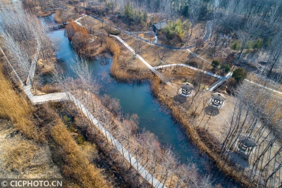 江苏淮安：天然氧吧古淮河国家湿地公园