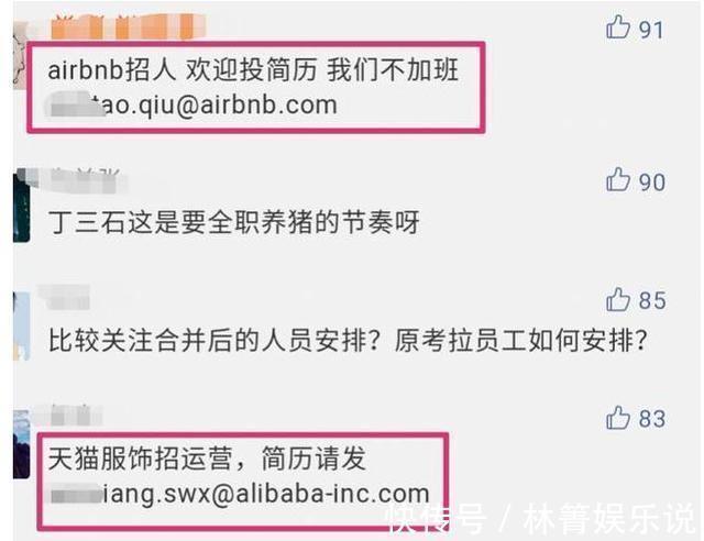 网易养不起“考拉”，阿里拼多多急剁手，网友丁磊全职养猪