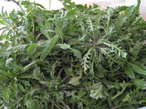 荠菜|肝病患者注意了,餐桌上这4物经常吃,养肝护肝,或远离肝病