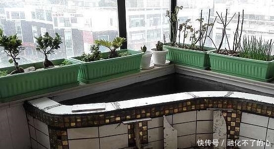 阳台|偷偷在阳台砖砌鱼池, 邻居来玩, 去物业把我投诉了