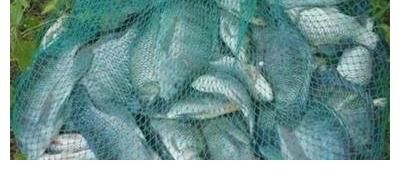 冬季钓鱼的实用经验分享