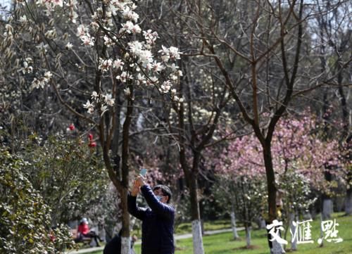 春光明媚 情侣园里百花闹春