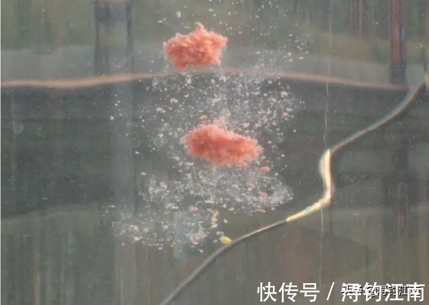 跑铅|户外作钓,遇走水闹小鱼咋办?试试这跑铅钓法,知道的人可不简单