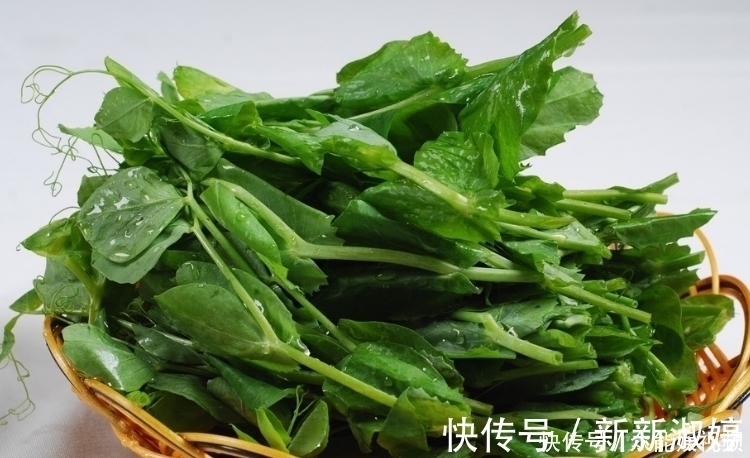 蔬菜|“年轻守护神”的一种蔬菜,有防老化作用,对眼睛很好的保护效果