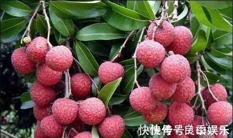 游离氨基酸|人到中年想长寿,要学会吃3种食物,排毒养颜,有益健康!