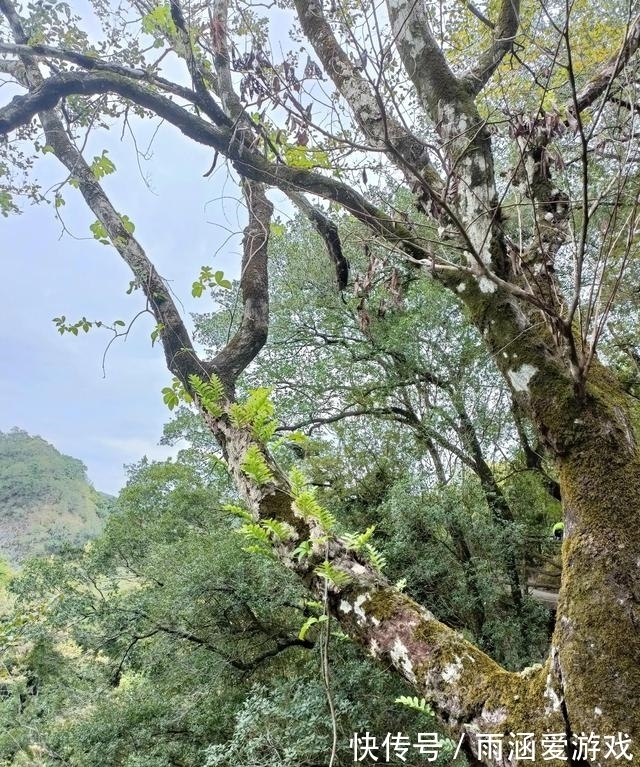 五指山|平远五指石，梅州境内最值得一看的景观，太震撼了