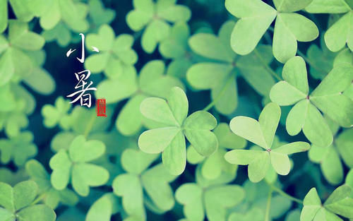 茄子|明日小暑，牢记“尝1味，吃2肉3菜，忌2事”，顺应时节精神入伏