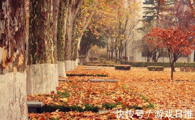 柳永!欧阳修高水平的10首诗词排行,《生查子 元夕》仅第二,第一是?