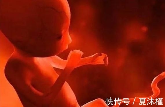 寄生胎|4岁女孩肚子越来越大,医生看到结果后,得知真相父母后悔不已