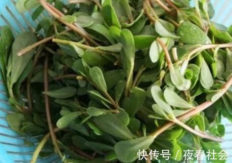 冬瓜|甲状腺结节的“克星”找到了,经常吃,化瘀散结,结节悄悄变小!