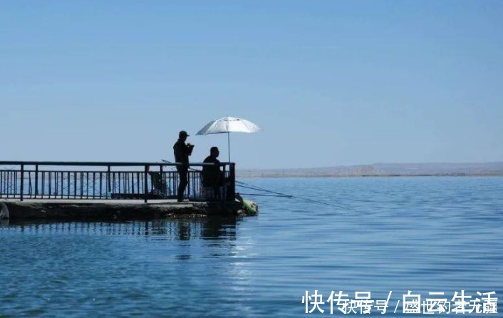 盛世三渔|被钩跑的鱼还会不会吃饵，隔多长时间会再次咬钩？——盛世三渔