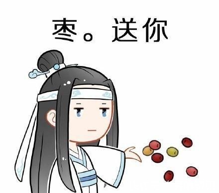 仙门百家|蓝忘机“蓝”朋友你的,天子笑送你,兔子送你,你是我的!