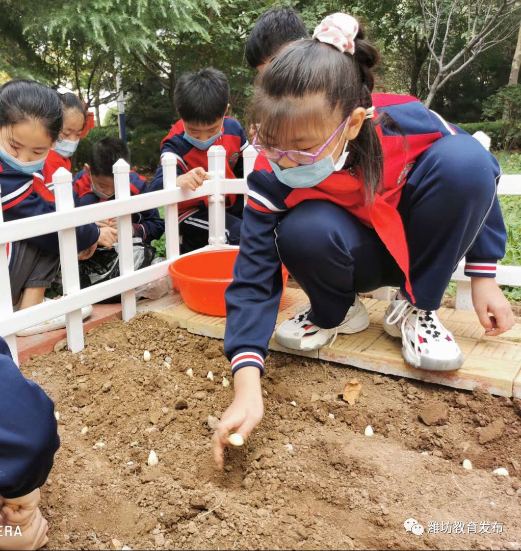 轮流|寿光市建桥学校｜建立实施学生轮流值日制度