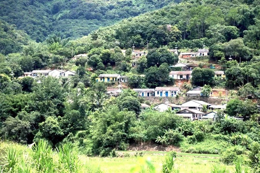 海南|海南白沙高峰村：鹦哥岭上的幸福迁徙