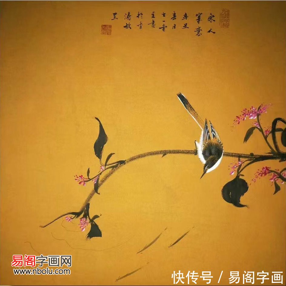 花鸟画!付厚党花鸟画 融逸趣于自然 带您走进清凉的世界