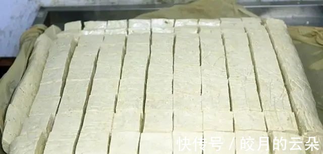 家里有黄豆,别再打豆浆喝了,试试此做法,做成豆腐,好吃零添加!