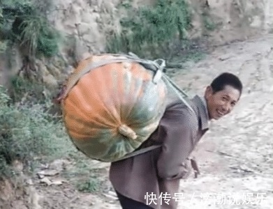 大叔意外丰收巨型南瓜，高兴的背着回家，途中南瓜却突然裂开了