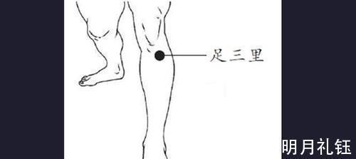 阴陵泉穴|穴位妙用,常按5个穴位,解决高血脂,远离心脑血管疾病