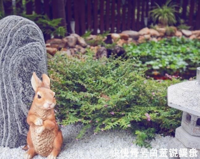 地面|为省钱他自己动手改造庭院!完工美翻了,这效果只花五千不到