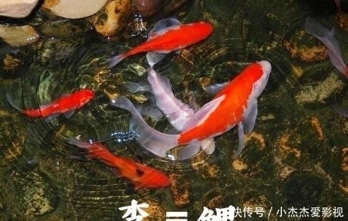 你不知道的那些历史上奇怪的法律规定,知道后再也不想穿越回古代