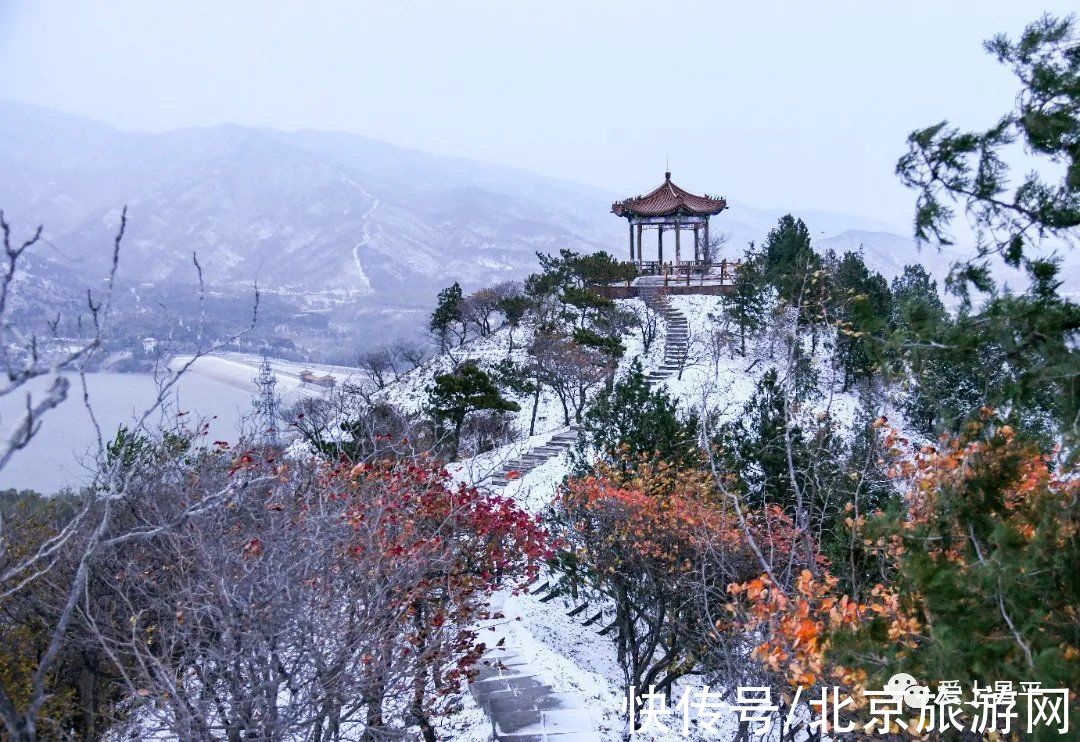 云赏雪|昌平初雪美景回放！雪缀红叶、红墙白雪…这也太美了吧