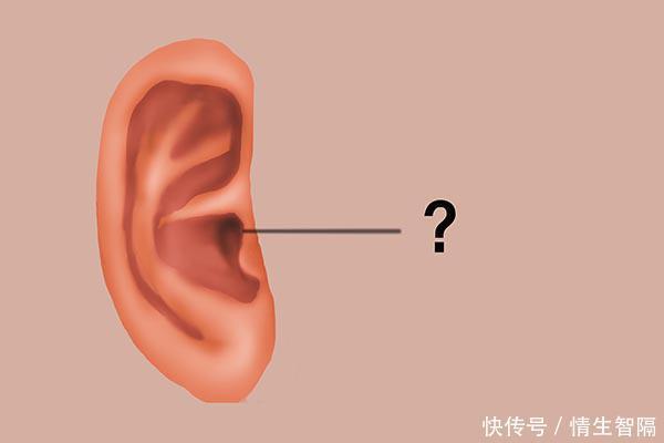 生命|气血是生命的根基,身体无故出现一些怪象,或预示你的气血在流失