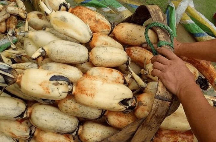 秋天别乱吃，多吃5种食材，顺应时节安稳过秋季，分享菜谱请收好！