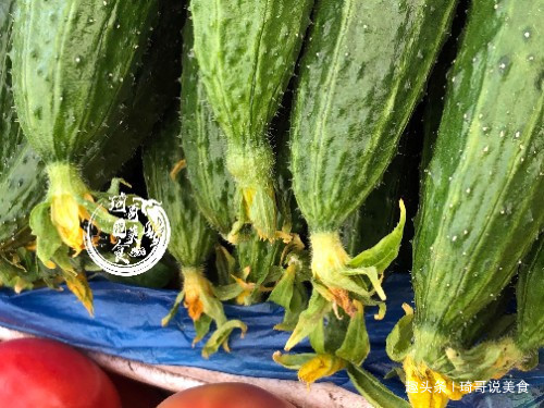 琦哥|打了激素的黄瓜怎么辨认菜农教你一招，看一眼就认出！