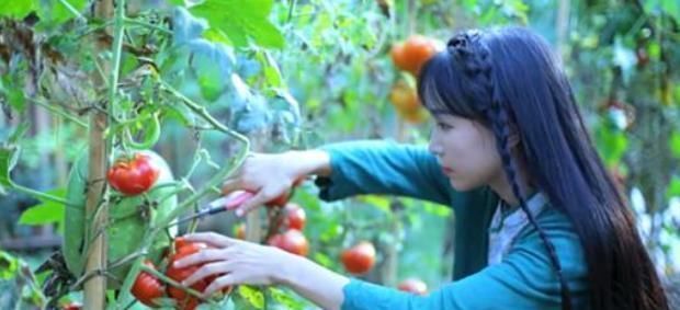 李子柒自制煎牛排,这次直接糊掉了网友真当我们没看见