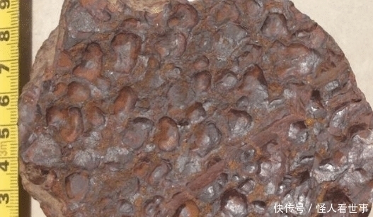 石头|如果在山中见到这样的石头赶紧捡回来,这块才700克,就值两万多