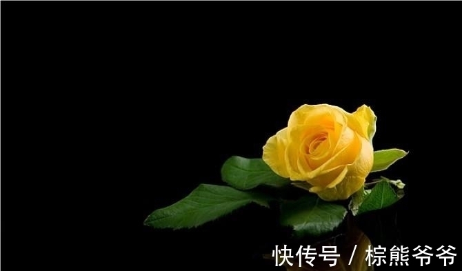 桃花|还有15天左右，缘分与桃花上上签，真爱瞬间降临的四大生肖！