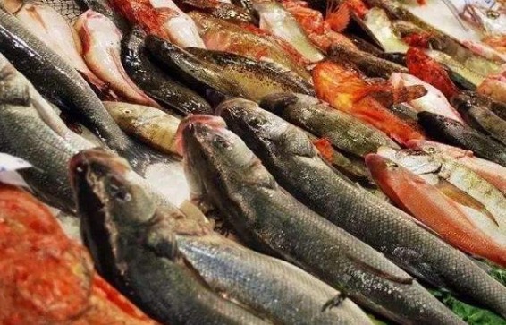 美味|冬天吃鱼,首选以下4种鱼,目前无法人工养殖,营养美味,贵也值