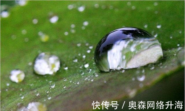 金璋|精选十二首带雨露的古诗词, 美到心醉, 分享