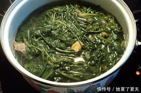 小秘方|流传民间8个小秘方,巧治“慢性胃炎”,早知早受益