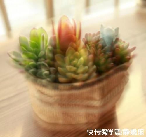 塑形|孩子近视怎么办土方法效果甚微,三个妙招帮你恢复眼睛视力