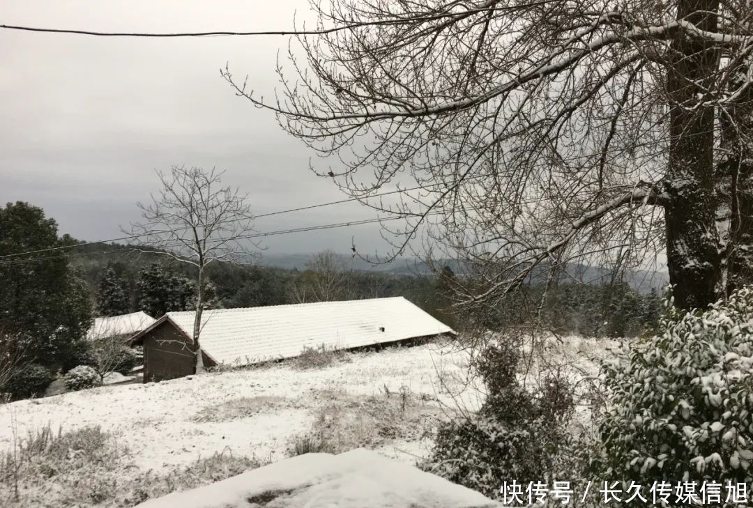 惊艳|惊艳！苍溪九龙山雪景美到cry！