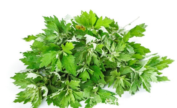 小根|65种野菜图片,带你认识不同的野菜和吃法,你想要的野菜这里都有