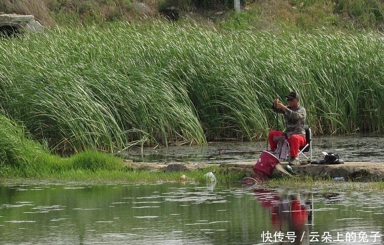 野钓大鱼进窝后,这三件事千万别做