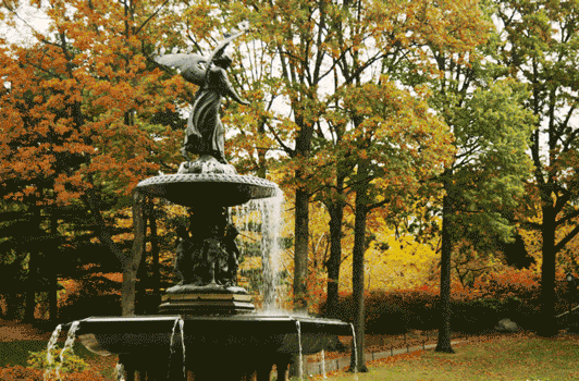 佛教|唐代诗僧的一句诗,写尽了诗意的秋天,却让人怀念故人