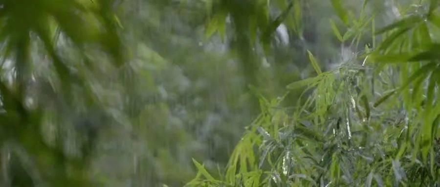  嘉陵江|听，他们写给北碚的诗意告白（七）