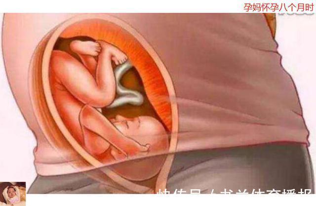 待产包|母亲十月怀胎到底多辛苦?十张图带你看孕育全过程,生命来之不易