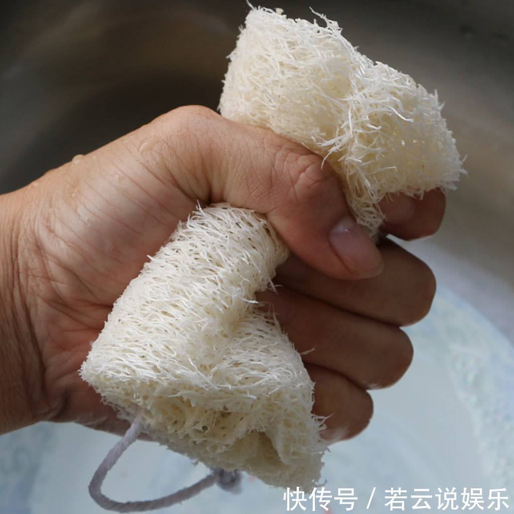 这东西|农村人都拿他当刷碗布,却很少人知道他是个宝