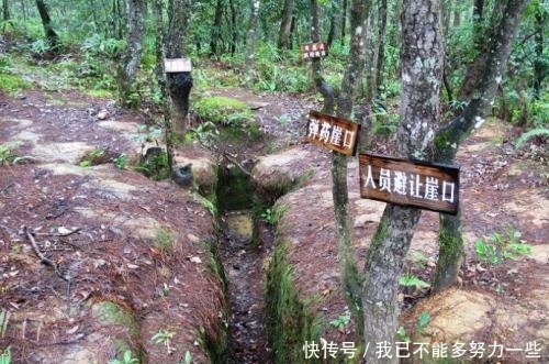 战争|距离松山战役60年后,一村民不幸成为二战最后的受难者