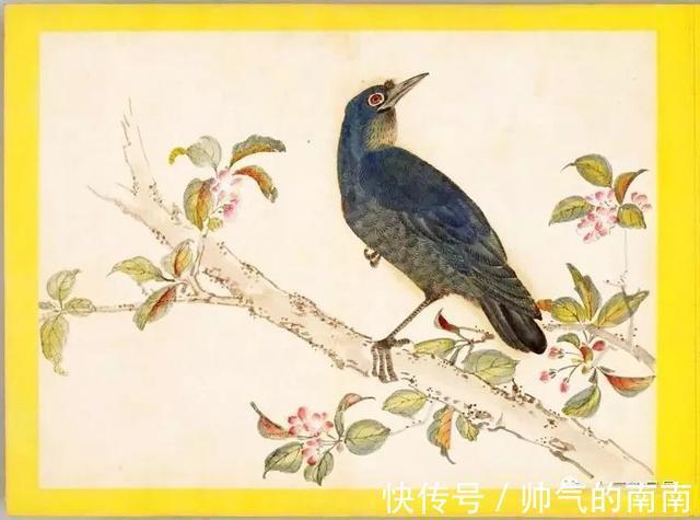 画谱!《百花鸟图》选页欣赏