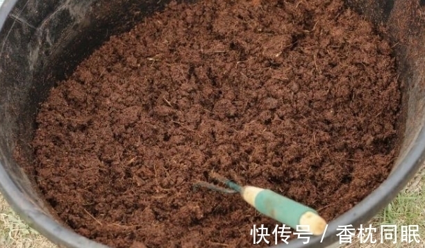 遍寻不到“酸性土”的情况下,该怎么让养花土从碱性变酸性?