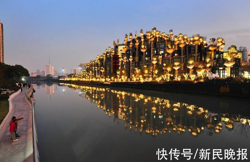无人机|上海新晋网红地标，每天无人机扎堆！居民叹苦经：小区成“景点”，在家没隐私