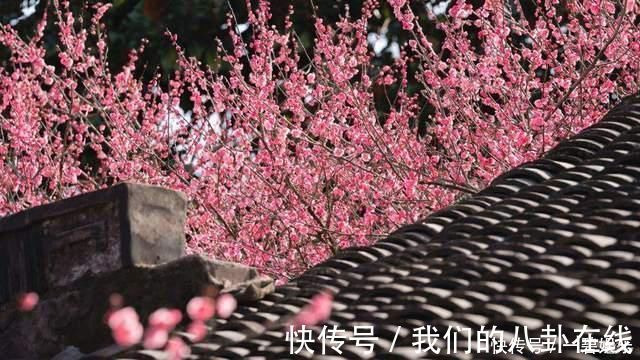 舒亶@他曾陷害苏轼,一首词入选《宋词三百首》,句句深情,令人惊艳