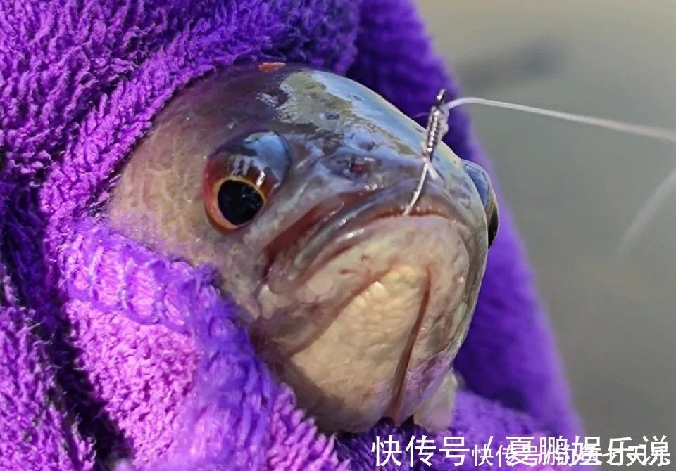 钓位|冬钓如何“不走空”,选对位置是关键,这些都是好钓位